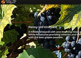 Penny Hill Vineyard